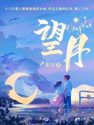 望月的古诗
