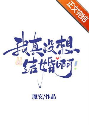 我真没想结婚啊 魔安晋江