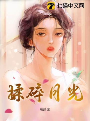 揉碎月光坠入星河 阅后即焚