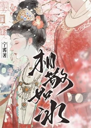 相敬如冰晋江