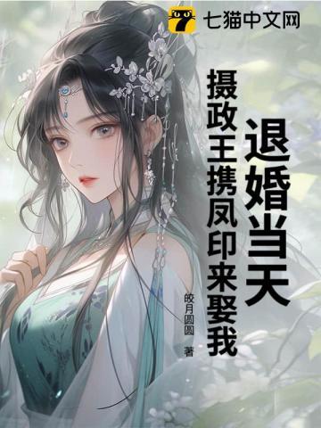 摄政王王妃又退婚了