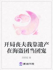 开局丧夫我靠遗产在海盗团当团宠 开局丧夫我靠遗产在海盗团当团宠